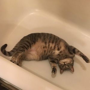 Meet your Posher, Karie